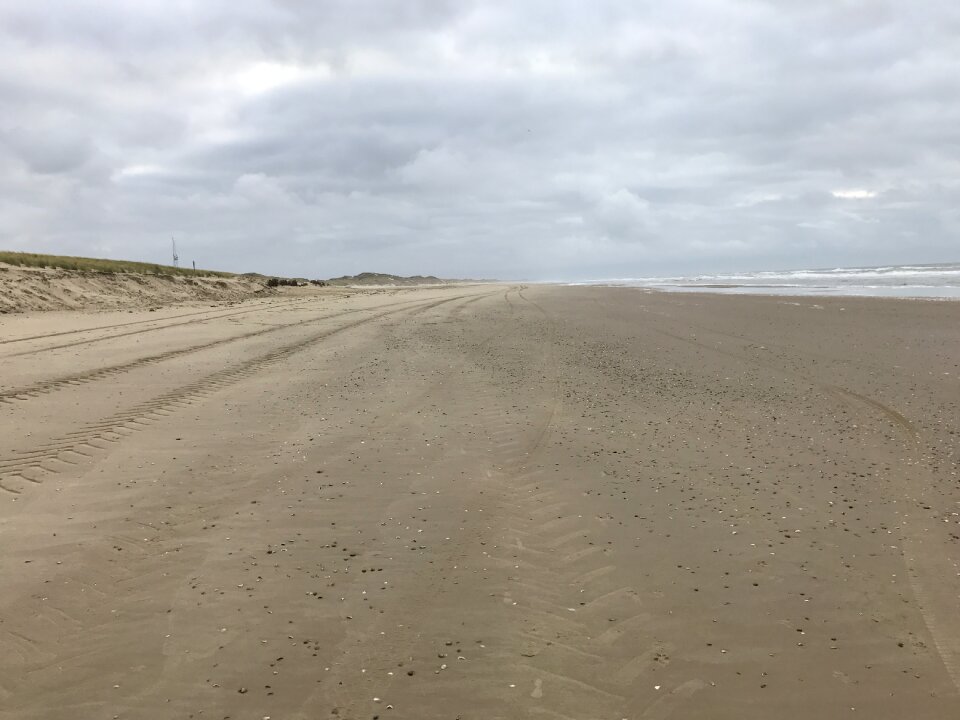Sea background beach