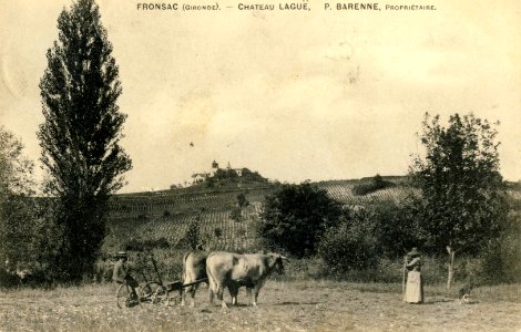Fronsac - château Laguë 1