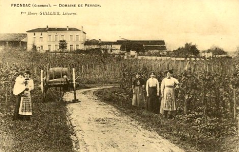Fronsac - domaine de Perron