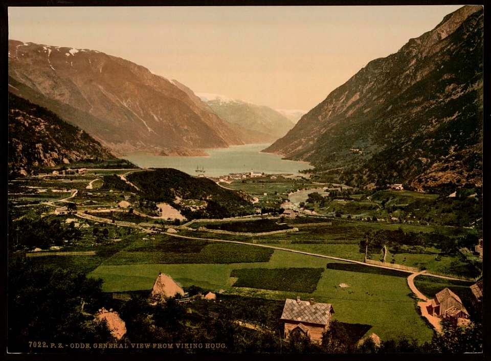 From Vikinghaug, Odde, Hardanger Fjord, Norway (LOC)