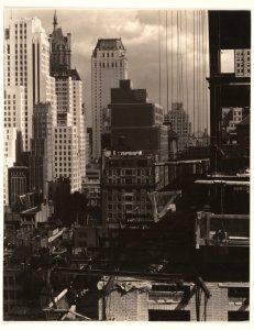From My Window at An American Place, North MET DP224383