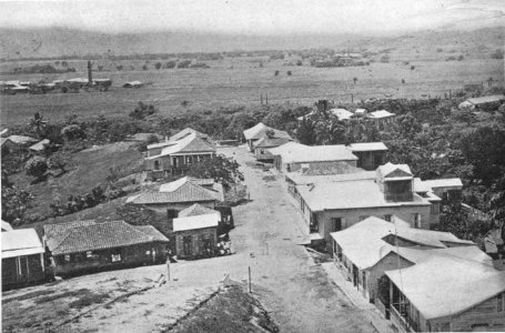 From Yauco to Las Marias 133