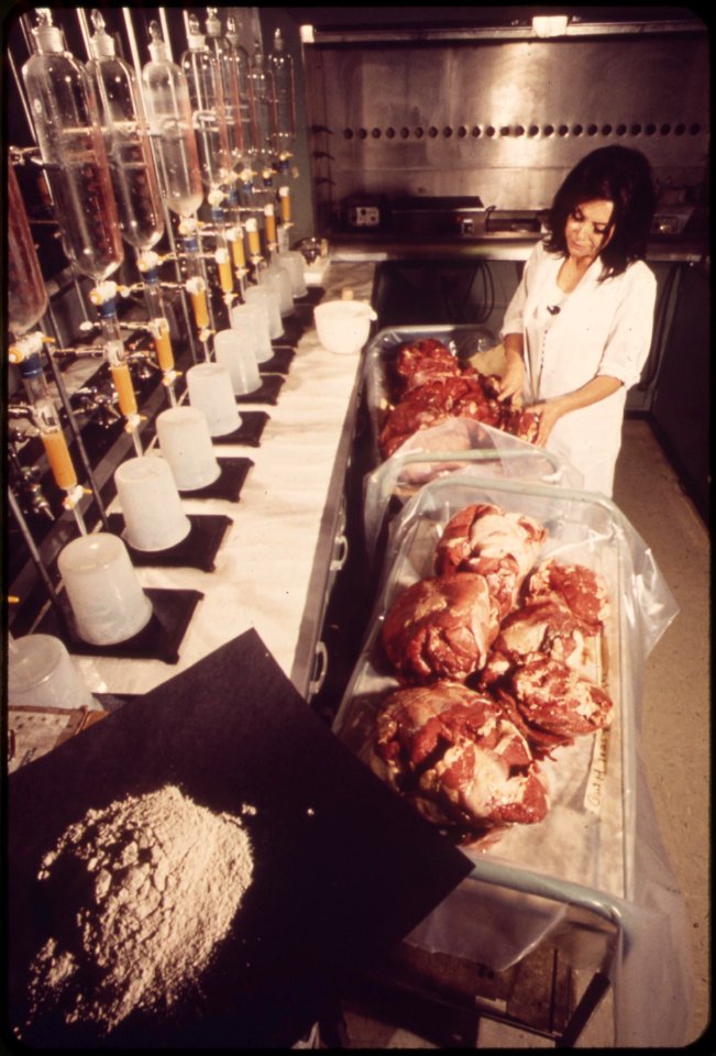 From-red-meat-to-ash--a-four-week-laboratory-procedure-for-measuring-gamma-radiation-at-epas-las-vegas-national-research-center-may-1972 6990425116 o