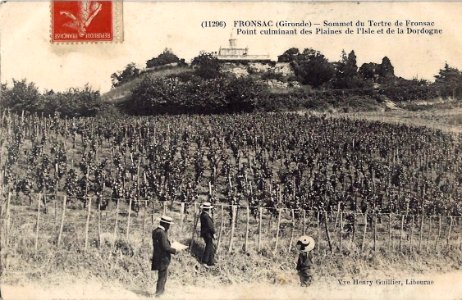 Fronsac - château du Tertre 2