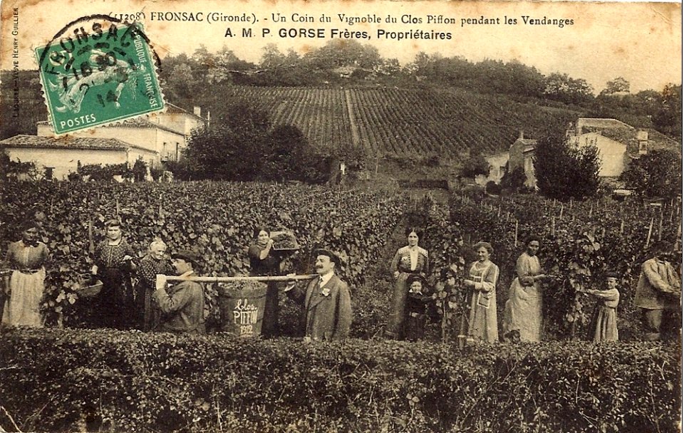 Fronsac - château Piffon 2