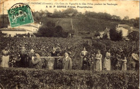 Fronsac - château Piffon 2
