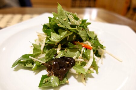 Salad vegetable fresh herbs