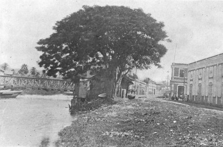 From Yauco to Las Marias 113