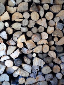 Wooden tree log photo