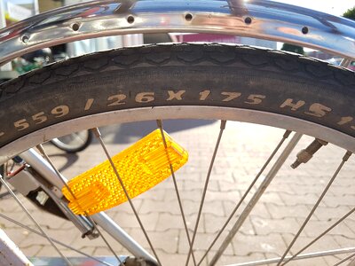 Spoke mature no person