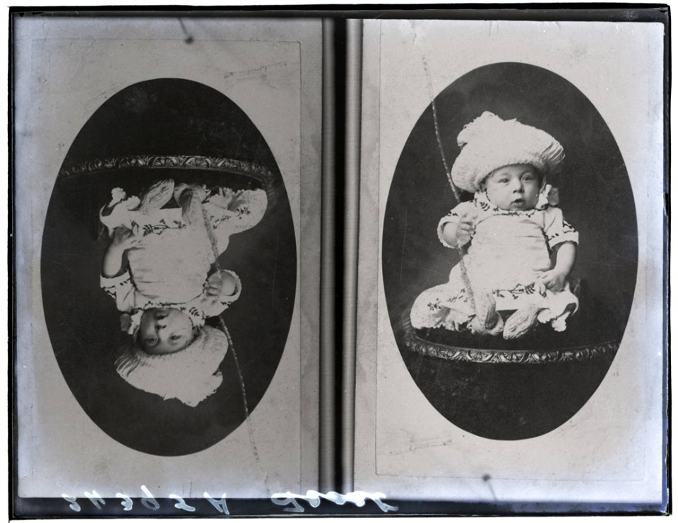 Frost, copy photograph, 19 Mar 1908 (16858571987)