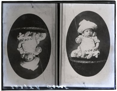 Frost, copy photograph, 19 Mar 1908 (16858571987)