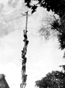 Frälsningsarméns missionärer, herr och fru Loois, roar infödingsbarnen med klättring på såpad stång - SMVK - 010760e