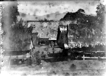 Från byn.(Fläckig, mörk plåt). Sulawesi. Indonesien - SMVK - 022112