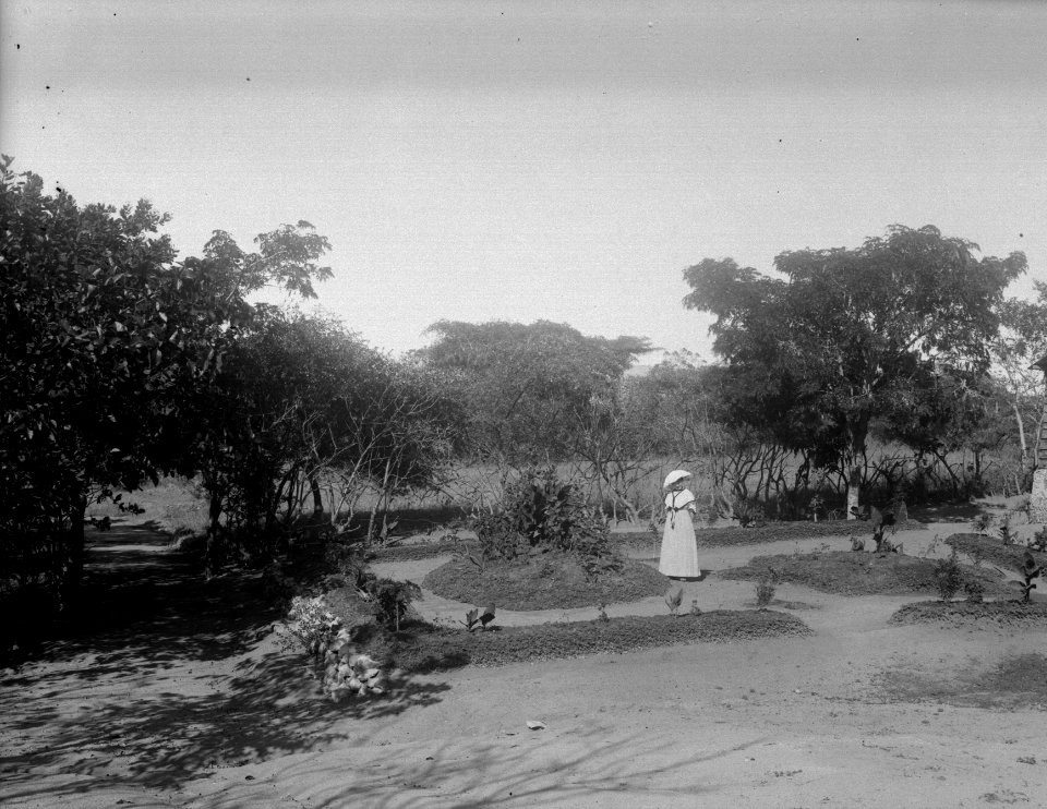 Fru Gasquet i sin trädgård. . Mahajanga, Majunga. Madagaskar - SMVK - 022001
