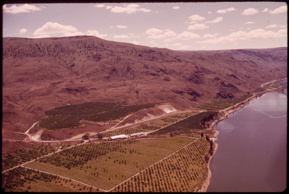 Fruit-orchards-near-chelan-051973 4272303980 o