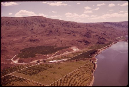 Fruit-orchards-near-chelan-051973 4272303980 o
