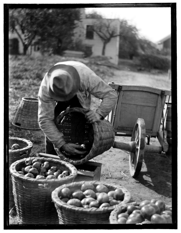Fruits of the Earth LCCN2006684200