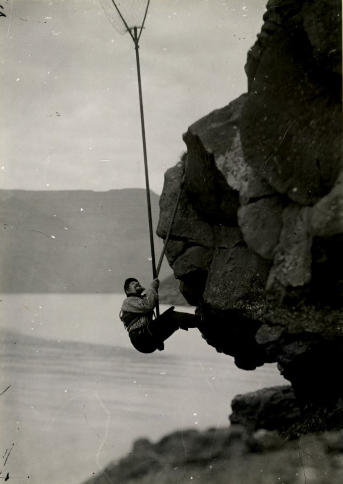 Fuglemand på fjeldside i Færøerne (DNT-118247)