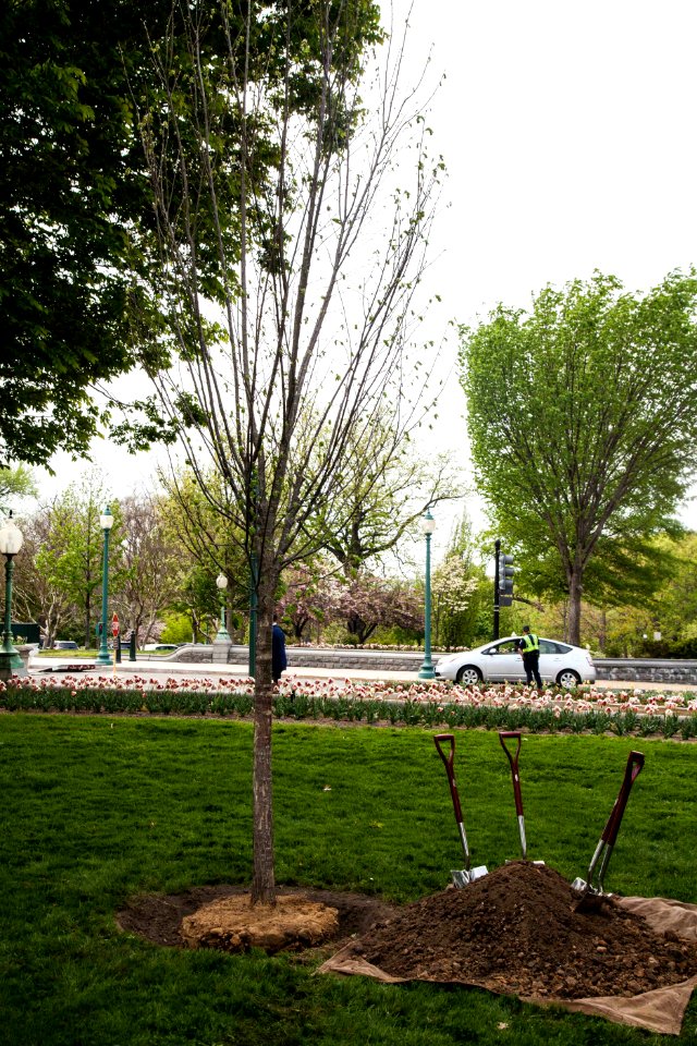 Fulbright Program Commemorative Tree Planting Ceremony (25977211904)