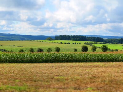 Nature cereals summer