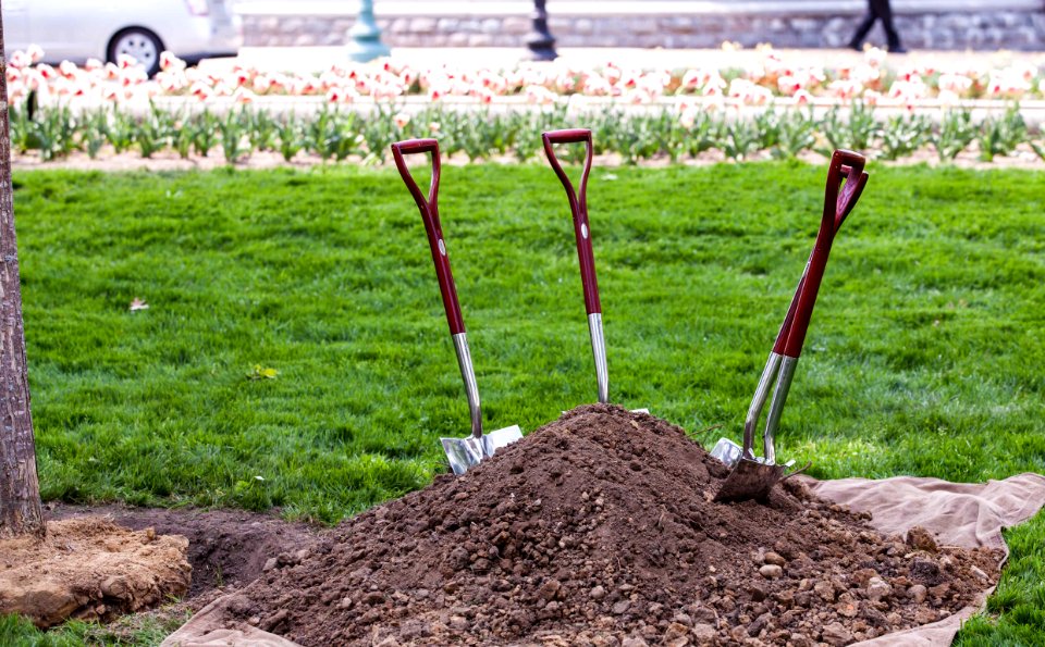 Fulbright Program Commemorative Tree Planting Ceremony (26582379965)