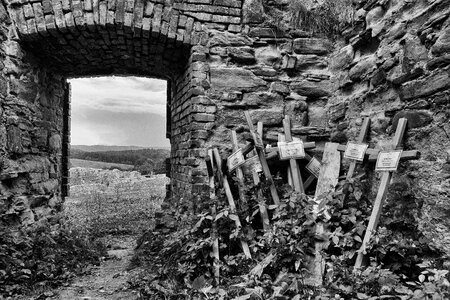 Wall grass highland photo