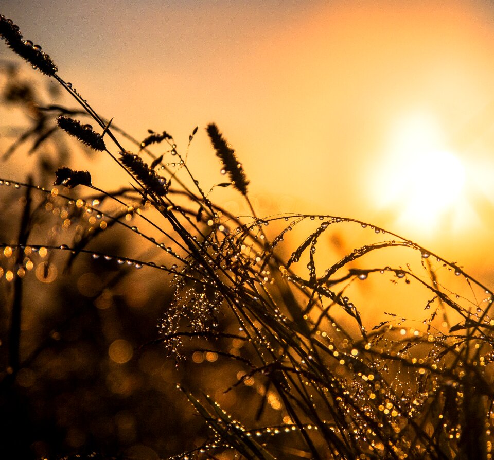 Sunrise sky water