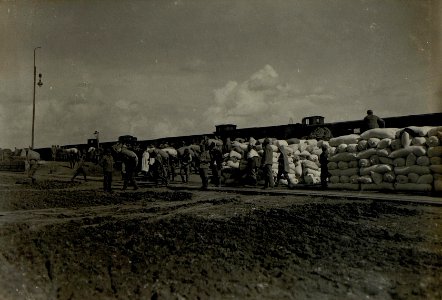 Futterfassungsstelle am Bahnhofe in Podhajce. (BildID 15522050)