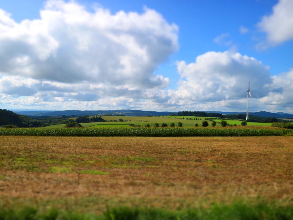 Clouds fields summer