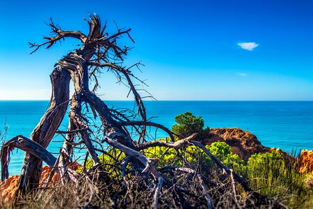 Nature sky seashore