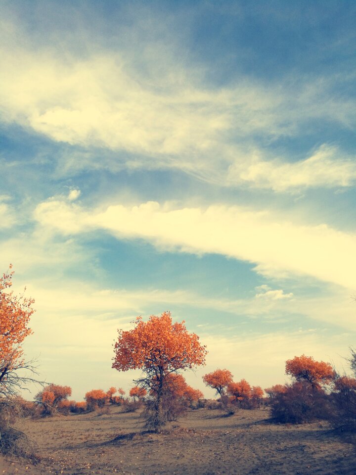 Populus travel afternoon