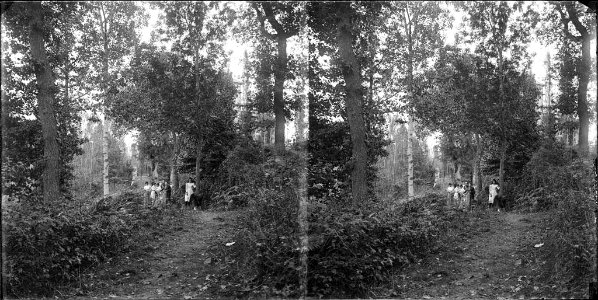 Grup de persones en un camí enmig d'un bosc