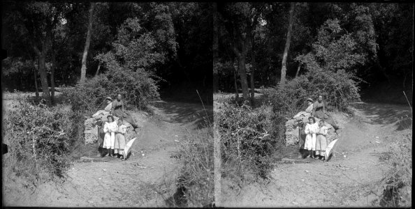 Grup de persones en un camí a l'entrada d'un bosc