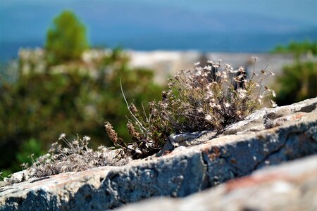 Perspective nature hidden