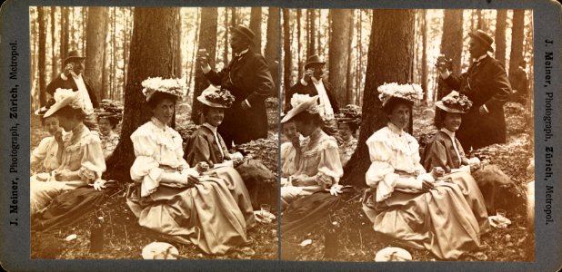 Gruppe beim Picknick im Wald - ETH BIB Ans 07242 (Johannes Meiner)