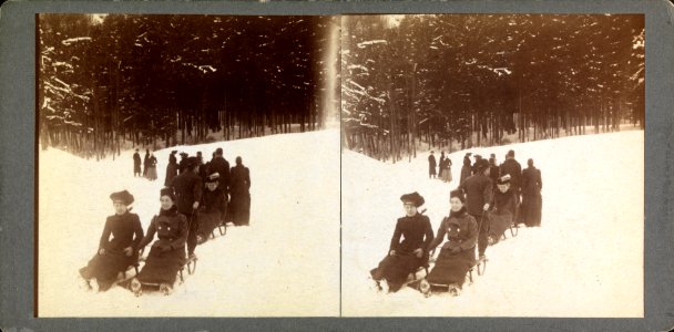 Gruppe bei Schlittenfahrt - ETH BIB Ans 07245 (Johannes Meiner)