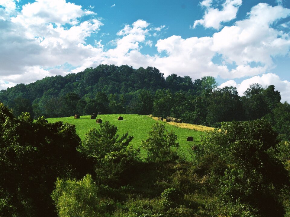 Nature scenic outdoor