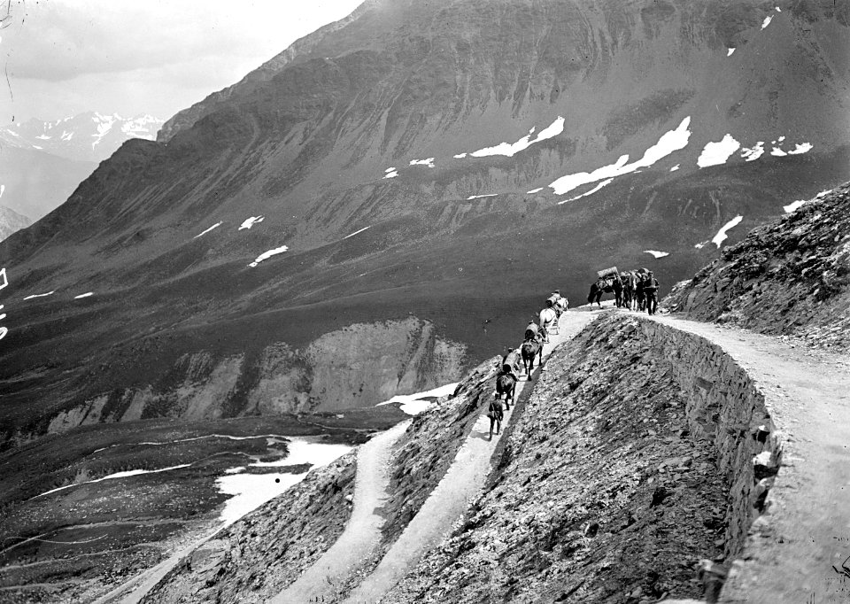 Gruppe von Train auf Saumpfad zur Dreisprachenspitze - CH-BAR - 3238747