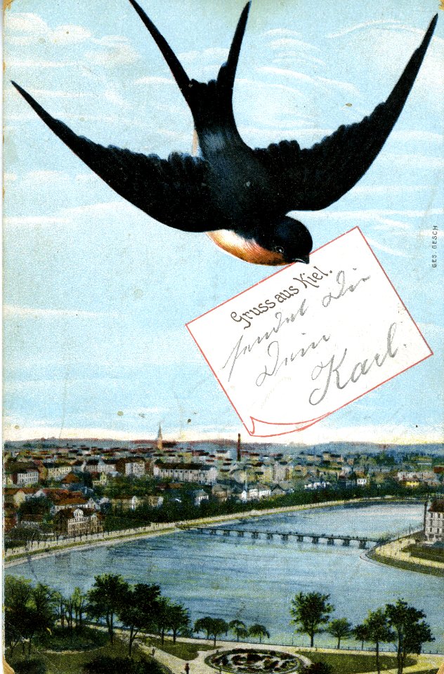 Gruss aus Kiel (Kiel 48.876)