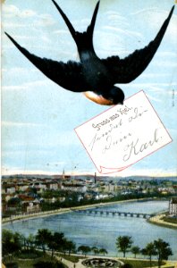 Gruss aus Kiel (Kiel 48.876)