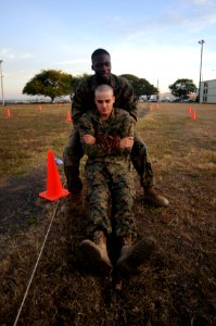 GTMO Marines, Sailors, and Soldiers Perform a Combat Fitness Test DVIDS311072