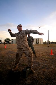 GTMO Marines, Sailors, and Soldiers Perform a Combat Fitness Test DVIDS311062