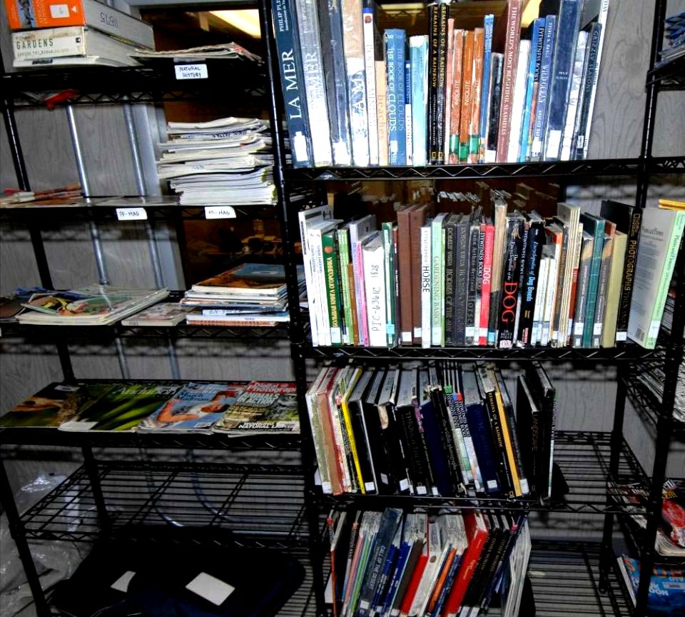 Guantanamo captives' library e