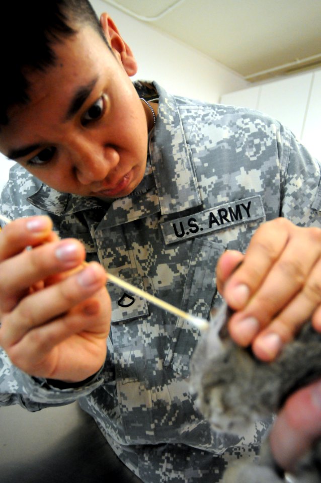 Guantanamo Veterinary Care DVIDS299641