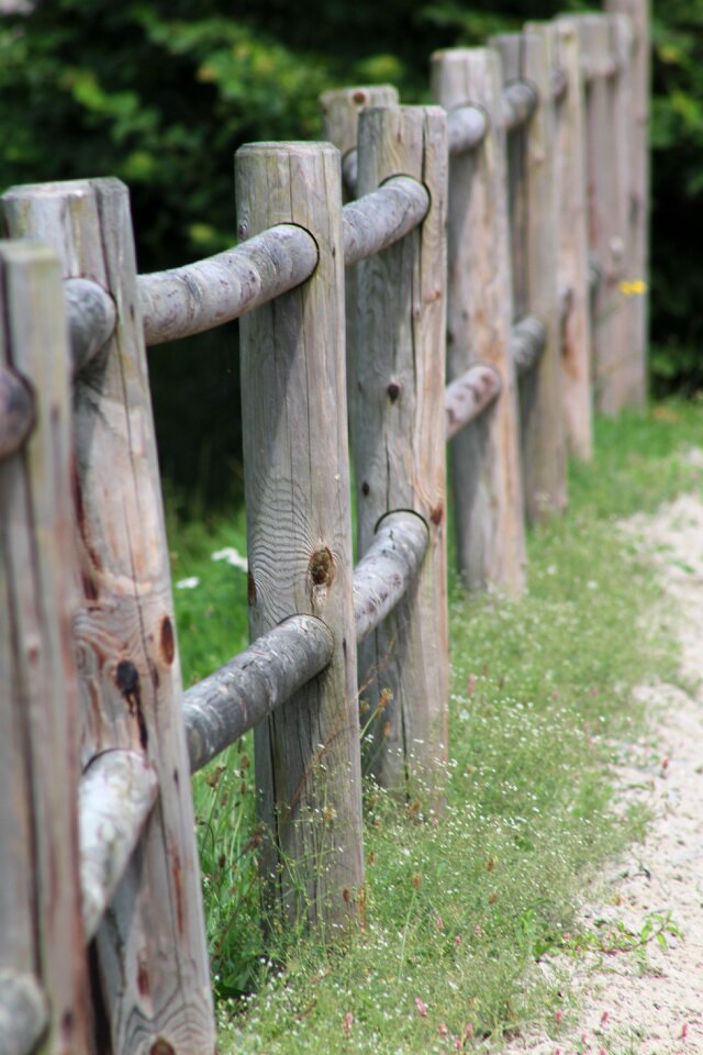 Nature garden wooden