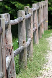 Nature garden wooden