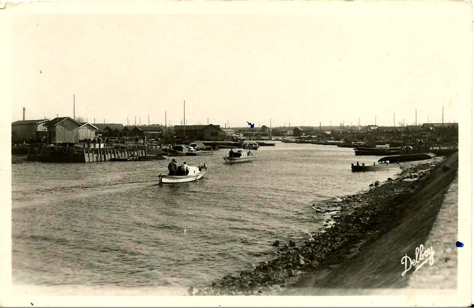 Gujan-Mestras - Port 3