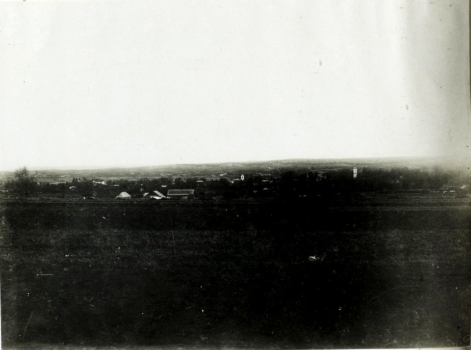 Guita Lipa Niederung bei Bursztyn. (BildID 15591398)