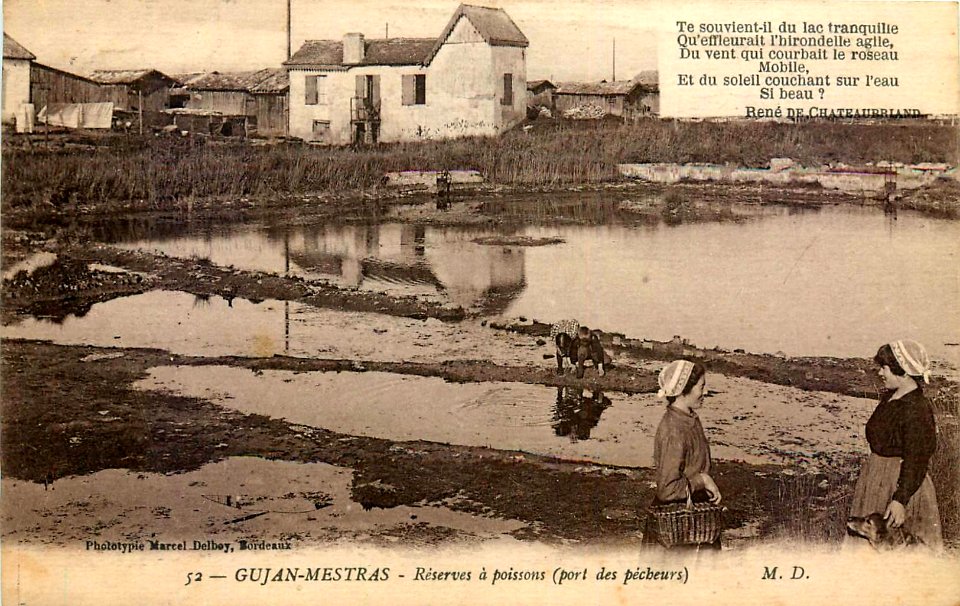 Gujan-Mestras - réserve de poissons